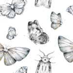tapeta-butterflies-at-midnight